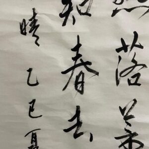 chinese-calligraphy-practice-lesson